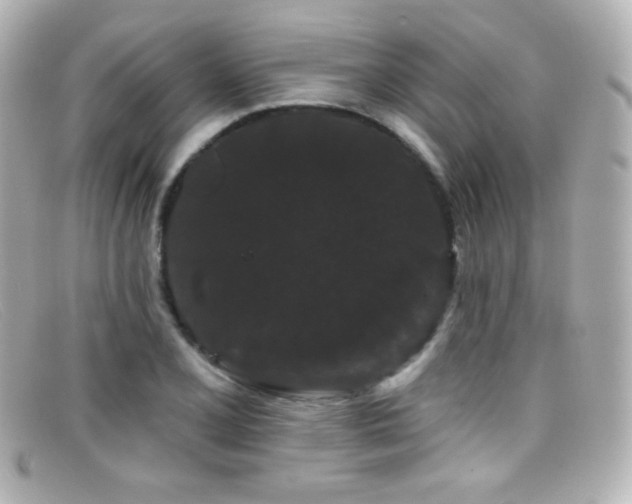 X0000099381077200805081441