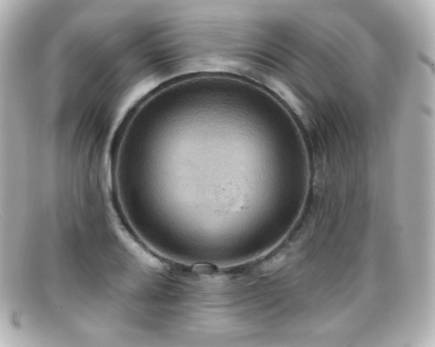 X0000099381080200805081440