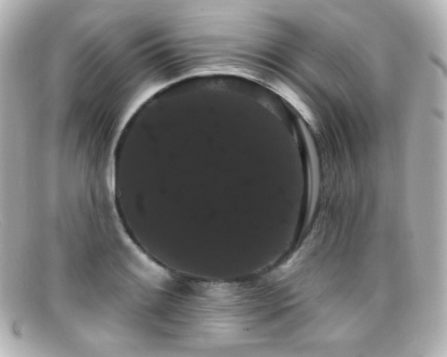X0000099381084200805081440