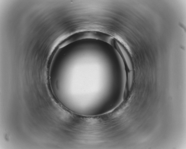 X0000099381085200805081440