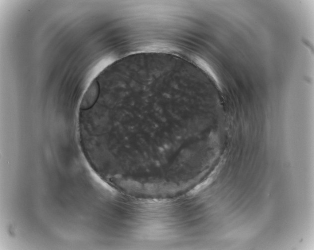 X0000099381087200805081440