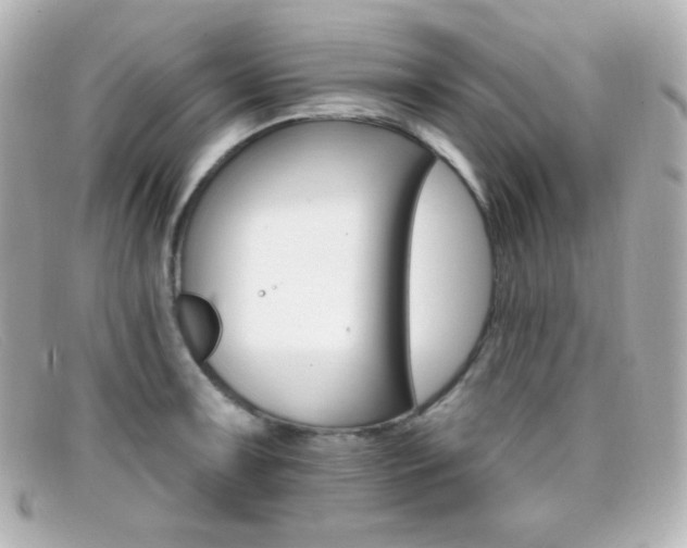 X0000099381091200805081440