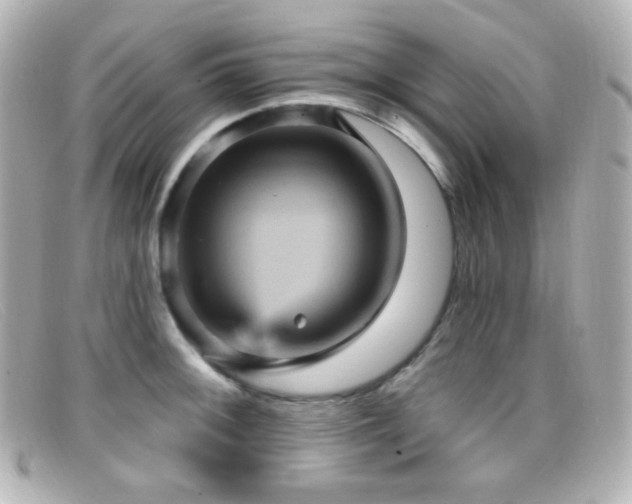 X0000099381092200805081440