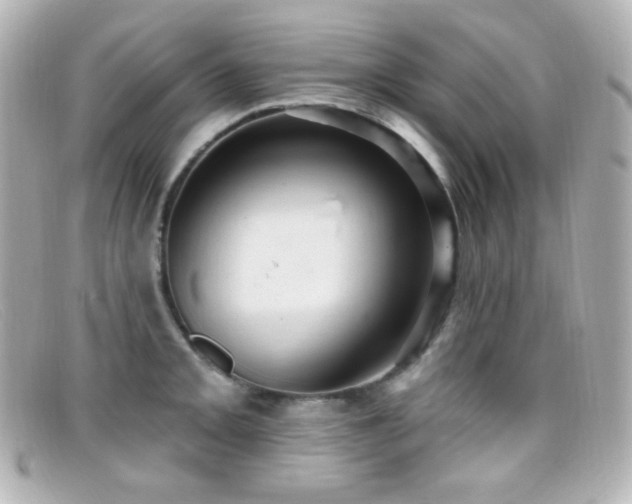 X0000099381093200805081440