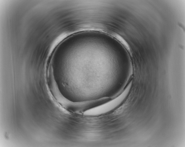 X0000099381096200805081440