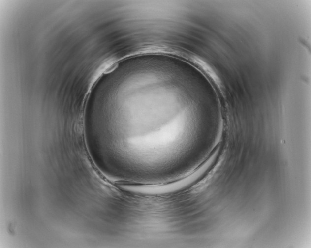 X0000099381097200805081440