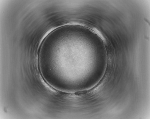 X0000099381100200805081440