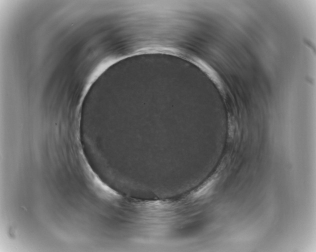X0000099381102200805081440