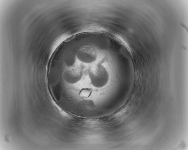 X0000099381103200805081440