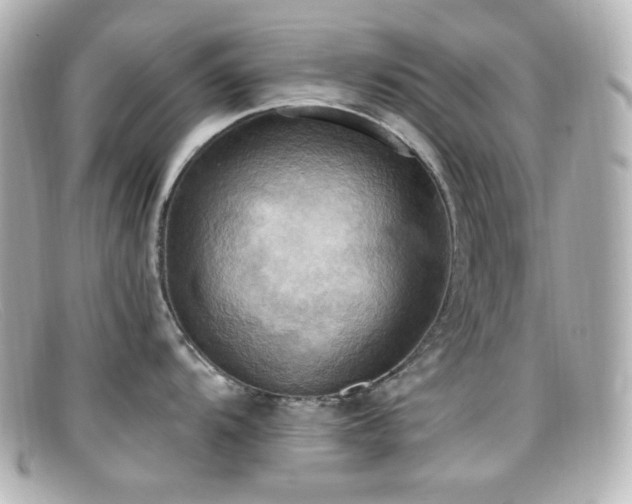 X0000099381104200805081440