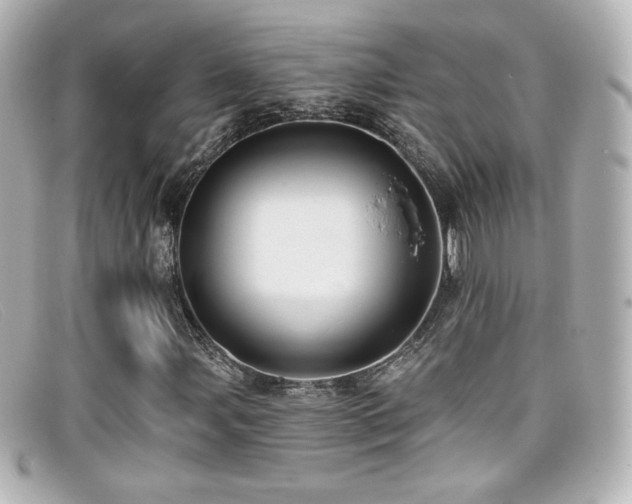 X0000099381107200805081439
