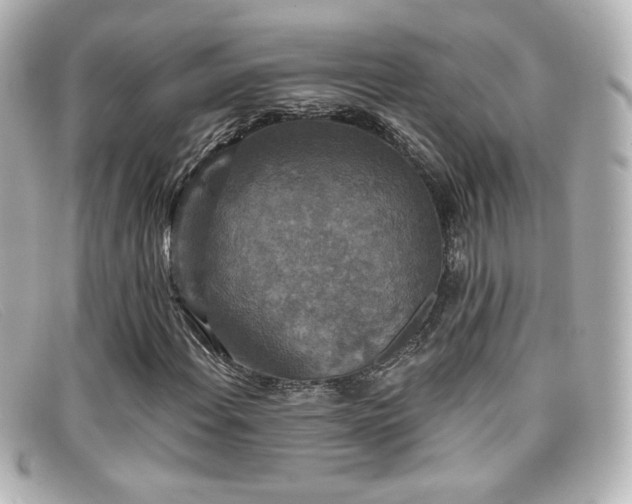 X0000099381108200805081439