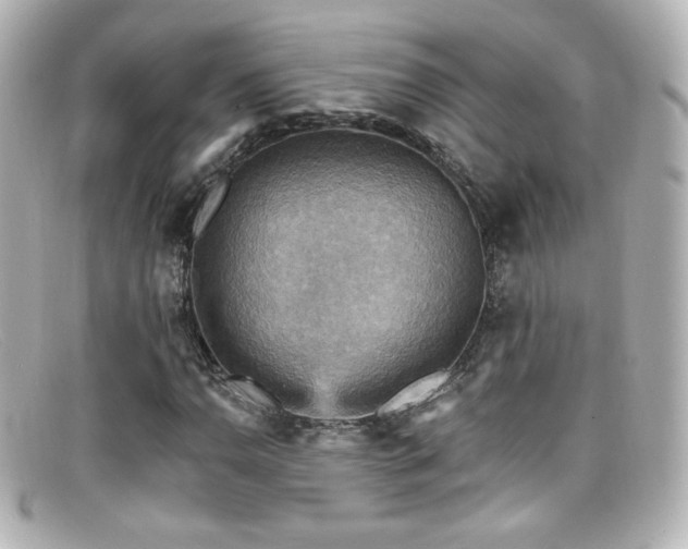X0000099381110200805081439