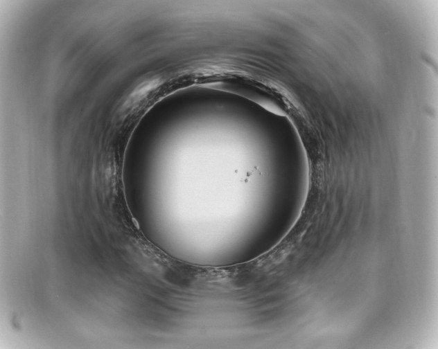 X0000099381111200805081439