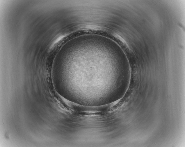 X0000099381112200805081439