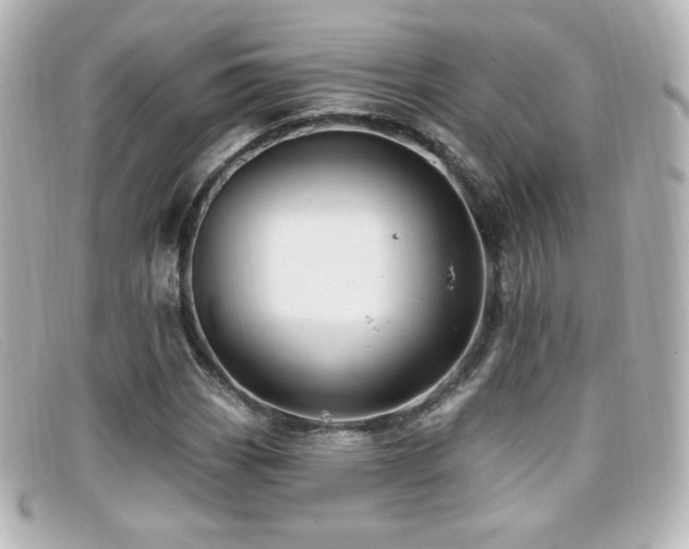 X0000099381113200805081440