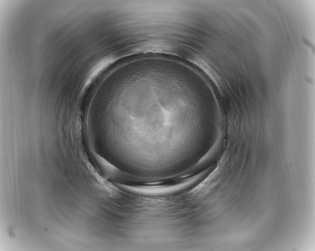 X0000099381115200805081440