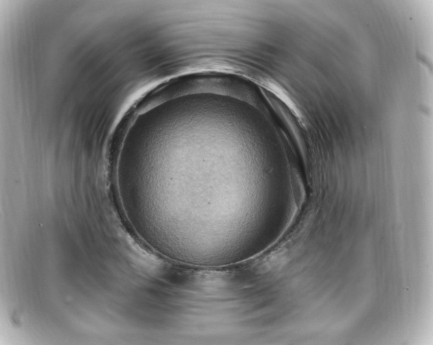 X0000099381116200805081440