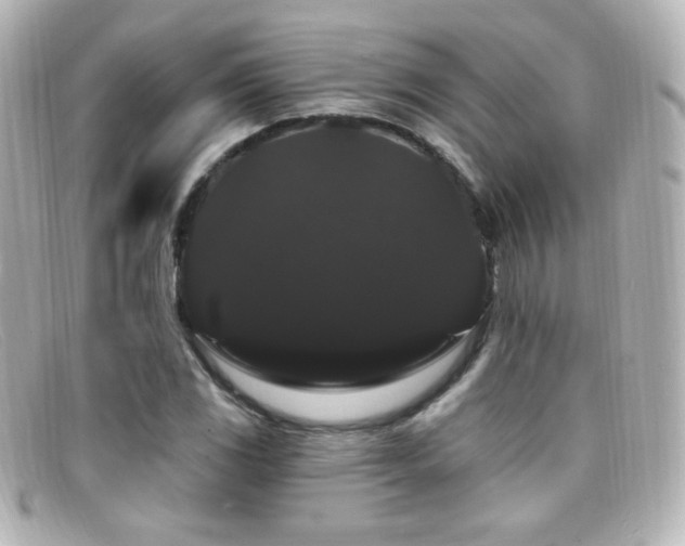 X0000099381117200805081440