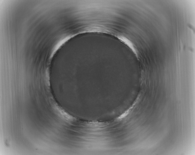 X0000099381120200805081440