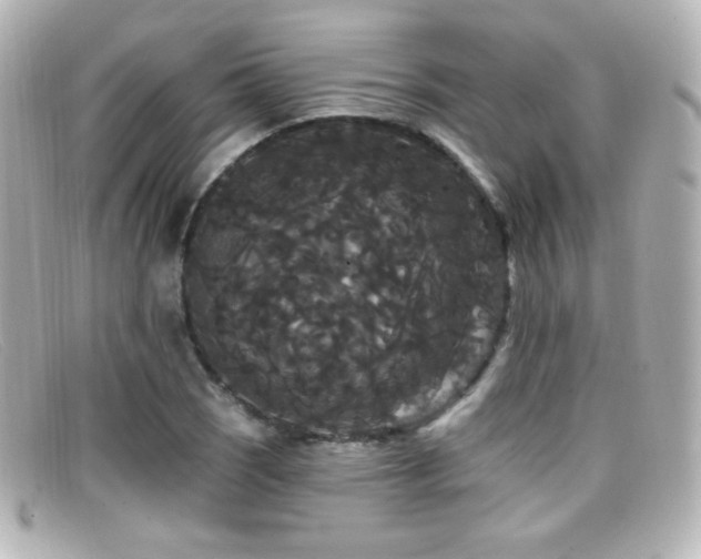 X0000099381121200805081440