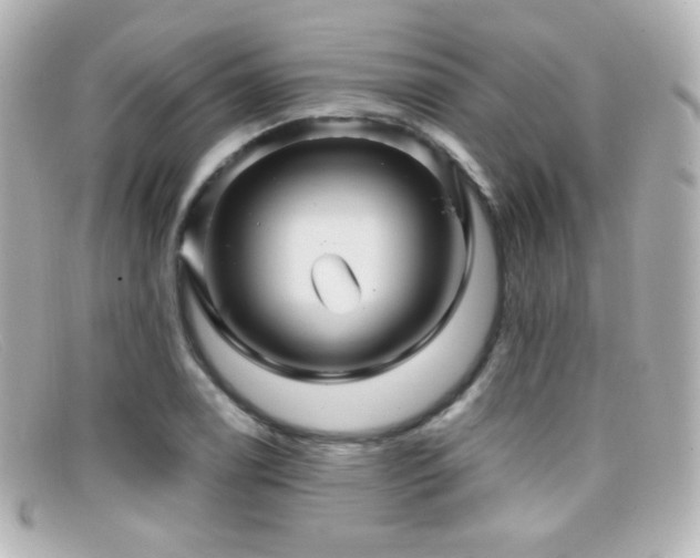 X0000099381122200805081440