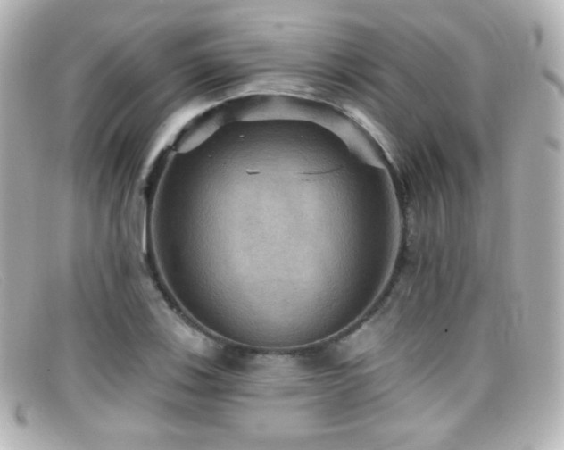 X0000099381123200805081440