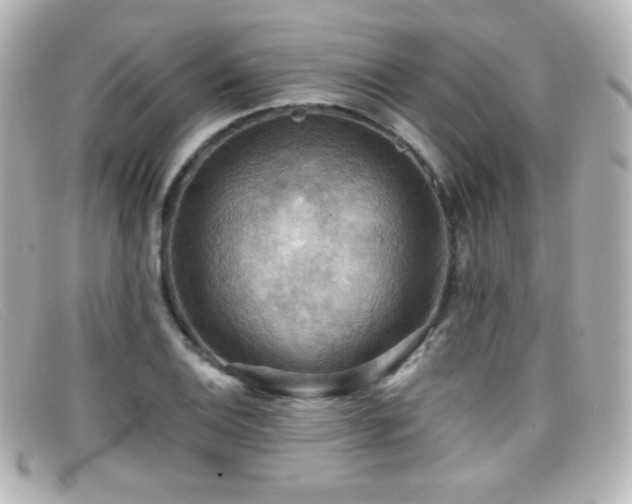X0000099381124200805081440