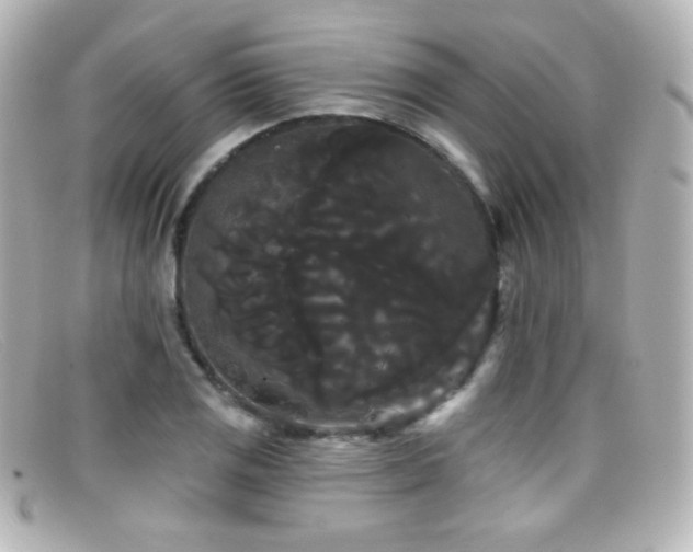 X0000099381125200805081440
