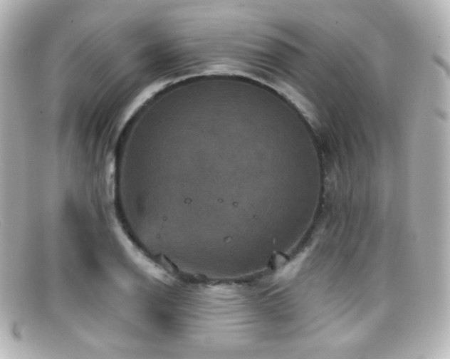 X0000099381126200805081440