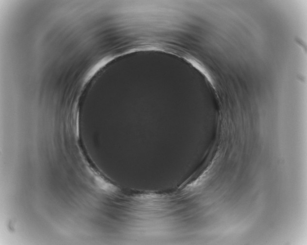 X0000099381127200805081440