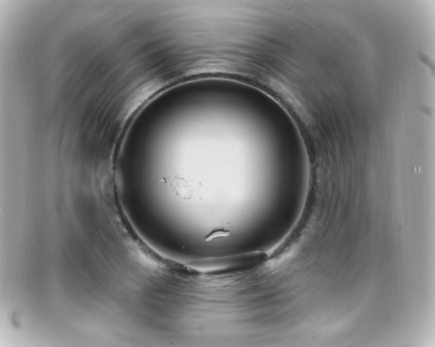 X0000099381129200805081440