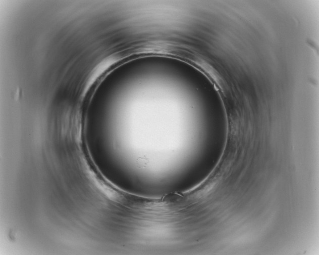 X0000099381131200805081440