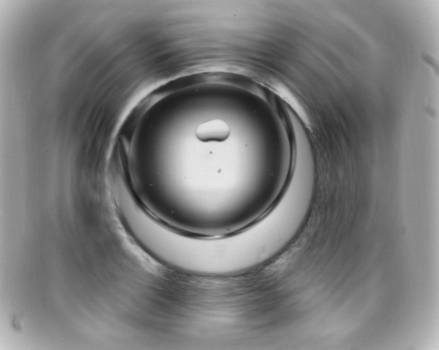 X0000099381132200805081440