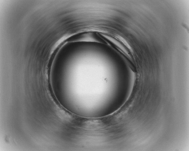 X0000099381133200805081440