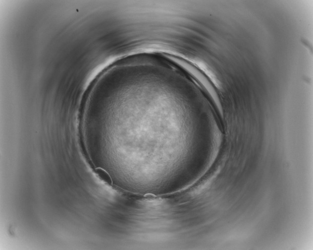 X0000099381134200805081440