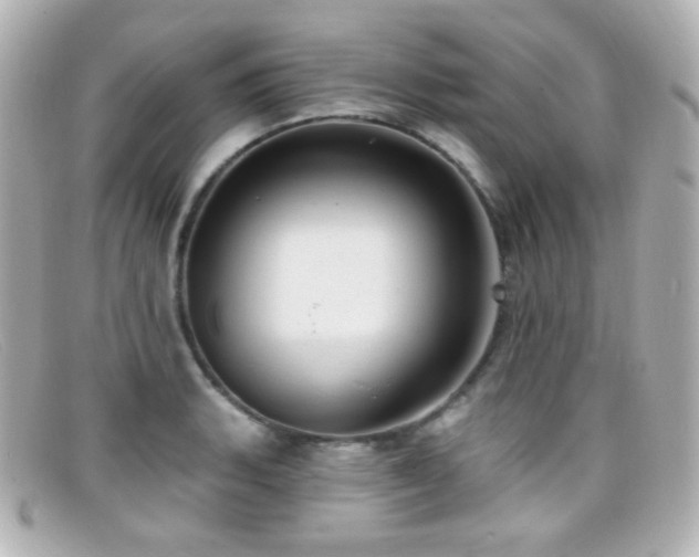 X0000099381135200805081440