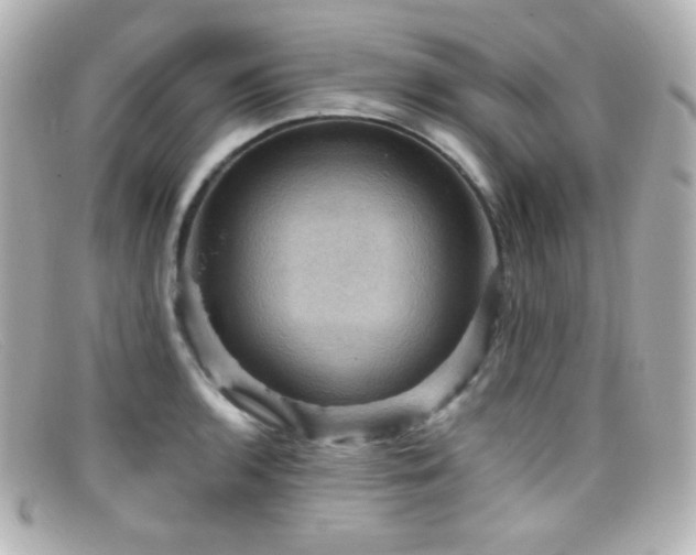 X0000099381136200805081440