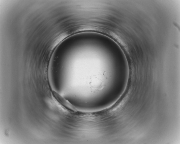 X0000099381137200805081440