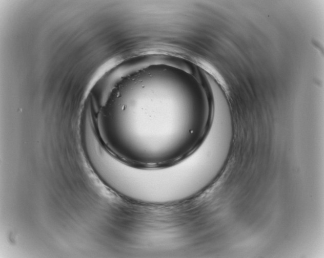X0000099381138200805081440