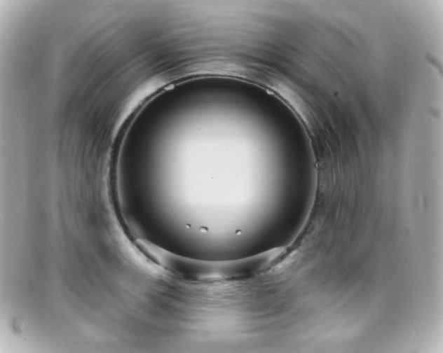 X0000099381139200805081440
