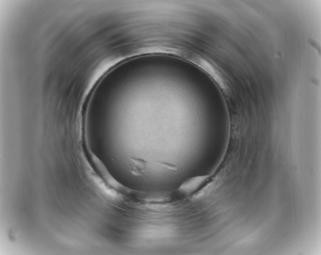 X0000099381140200805081440