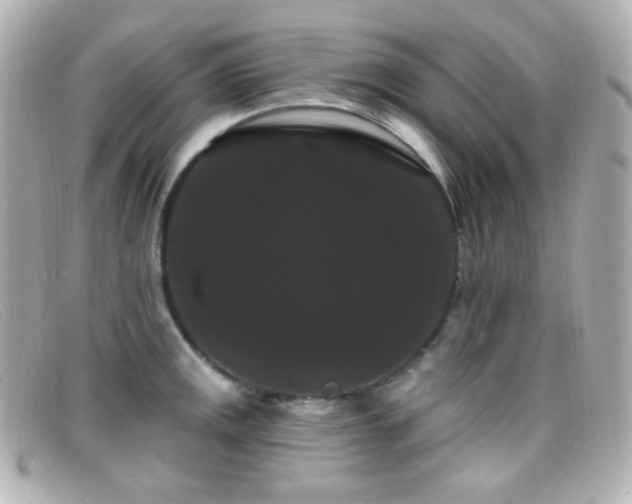 X0000099381141200805081440