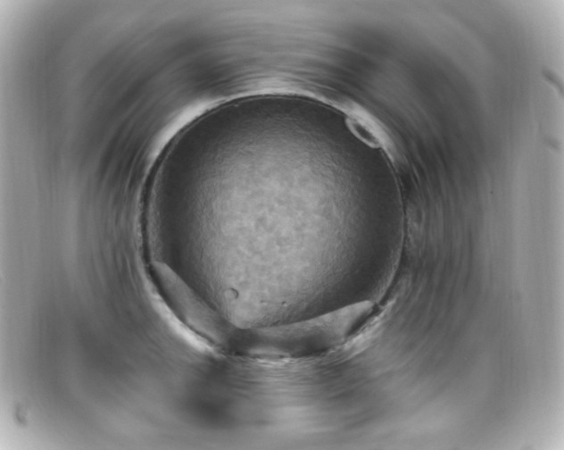 X0000099381142200805081440