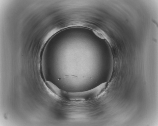 X0000099381143200805081440