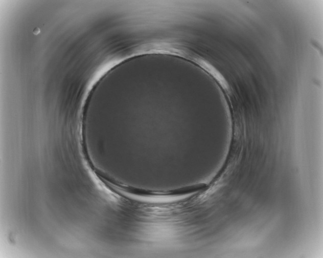 X0000099381144200805081440