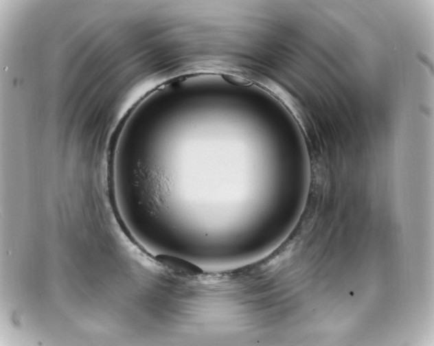 X0000099381147200805081440