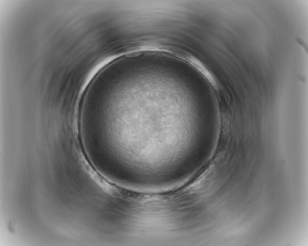X0000099381148200805081440