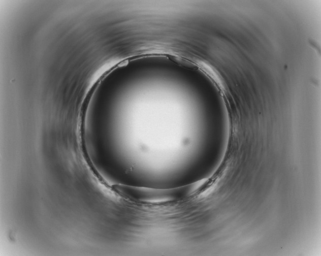 X0000099381149200805081440