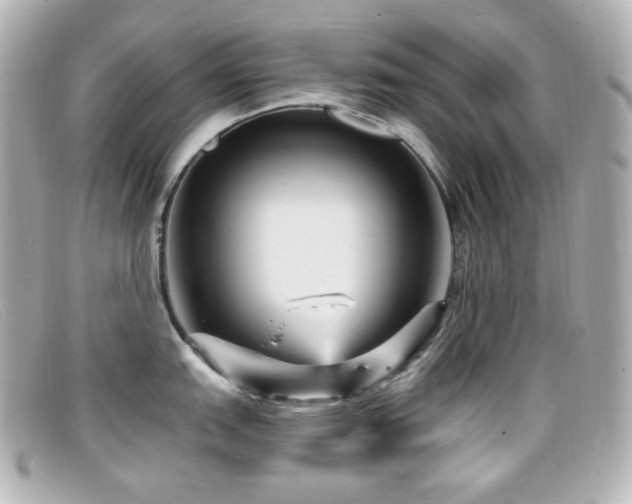 X0000099381151200805081440